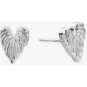 ChloBo Leaf Center Silver Stud Earrings SEST3240