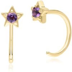 Modern Classic Amethyst Pull Through Hoop Earrings in 9ct Yellow Gold