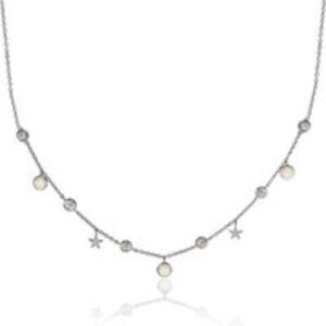 Search + In finding Shine Silver Choker Necklace – Silver