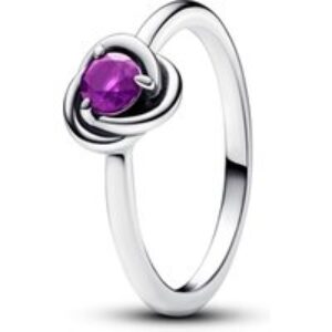 Pandora February Birthstone Eternity Circle Ring – 52 Pandora Ring