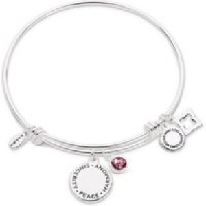 Karma February Birthstone Bangle – Silver
