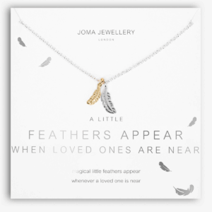 Feathers Appear When Loved Ones Are Near Necklace in Silver & Gold