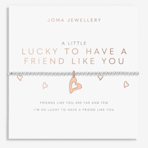 A Little ‘Lucky To Have A Friend Like You’ Bracelet in Silver And Rose Gold Plating