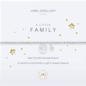 Family Bracelet in Silver