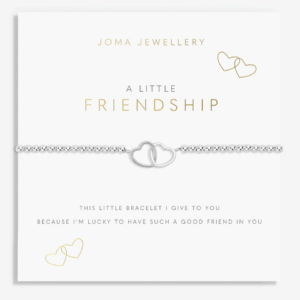 A Little Friendship Bracelet in Silver