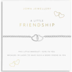 A Little Friendship Bracelet in Silver