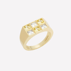 Astor Rectangle Signet Ring – 18k Gold Plated / 7