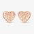 Rosa Lea Open Leaves Heart Stud Earrings AM-2THB010406