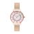 Olivia Burton Rainbow Sparkle Wonderland Women Watch OB16WD95