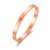 Rose Gold Plated Stainless Metal Polished Bangle (7 Inch)