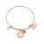 Karma February Birthstone Rose Gold Bangle