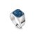 Octagonal Signet Ashes Resin Ring – Silver, P