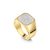 Octagonal Signet Ashes Resin Ring – Gold, V