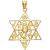 Celebrity of David Twelve Tribes of Israel Pendant Necklace in 9ct Gold