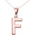 Letter F Diamond Commentary Appeal Pendant Necklace in 9ct Rose Gold