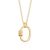 Gold Plated Oval Carabiner Attraction Collector Necklace