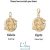 Gold Plated Zodiac Appeal